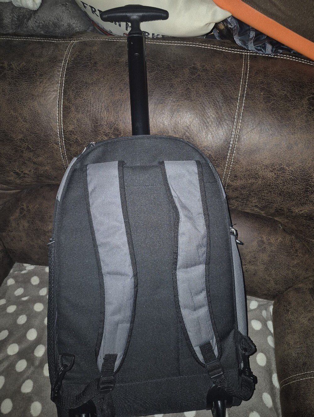 Coleman Roller Backpack - Picture 2 of 5